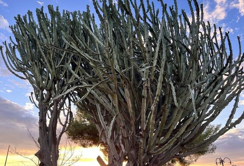 住宿加早餐  Casapiuholidaysicilia   Adults Only