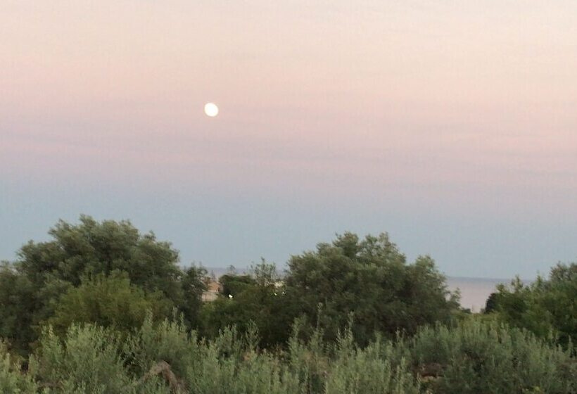 住宿加早餐  Casapiuholidaysicilia   Adults Only