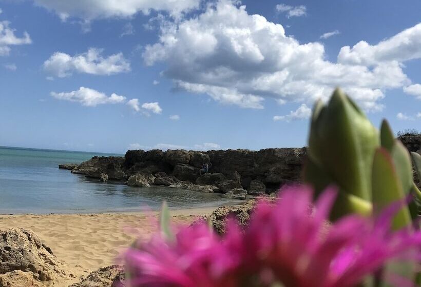 住宿加早餐  Casapiuholidaysicilia   Adults Only