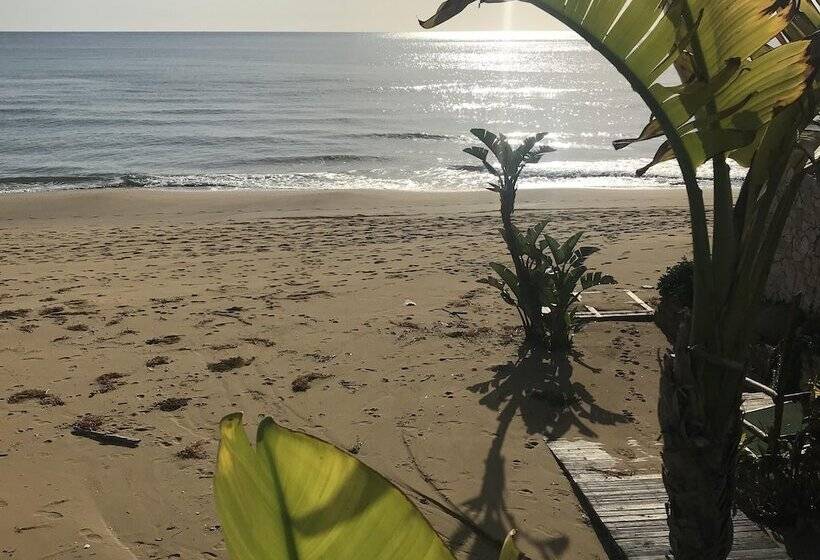 住宿加早餐  Casapiuholidaysicilia   Adults Only