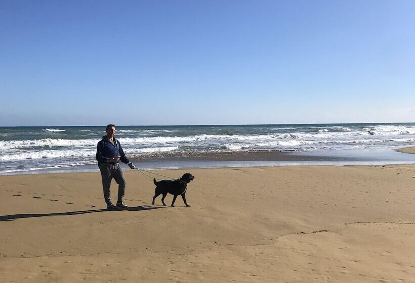 住宿加早餐  Casapiuholidaysicilia   Adults Only