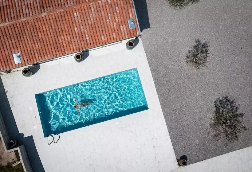 Biohotel Stdaniel