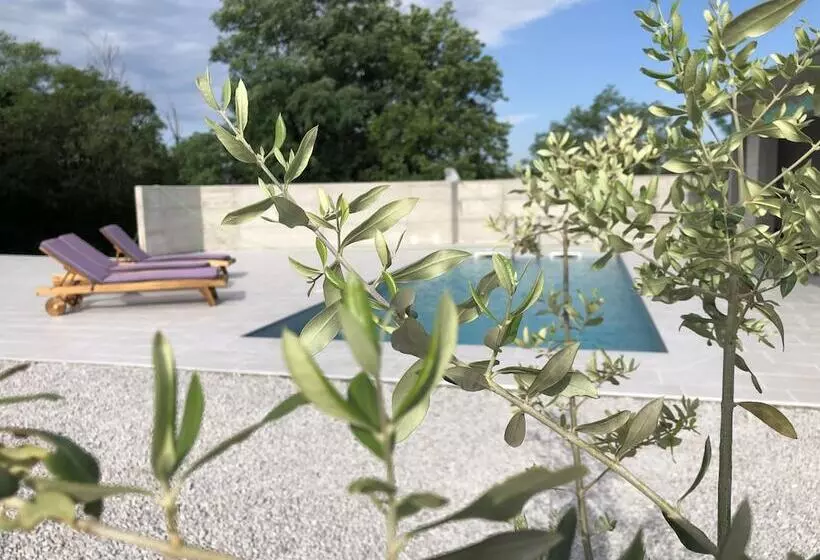 Biohotel Stdaniel