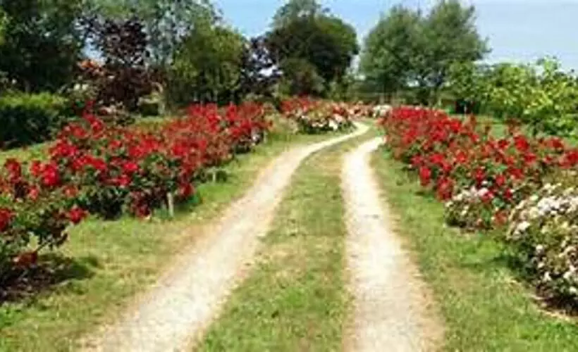 Brundish, Suffolk Large 4 Bed Barn Stunning!