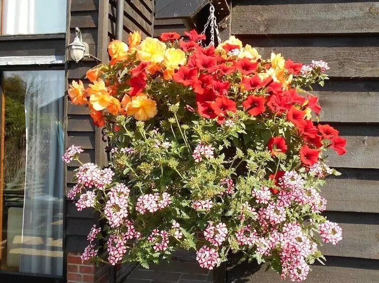 Brundish, Suffolk Large 4 Bed Barn Stunning!