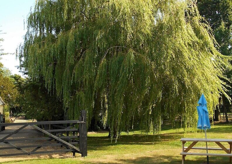 Brundish, Suffolk Large 4 Bed Barn Stunning!