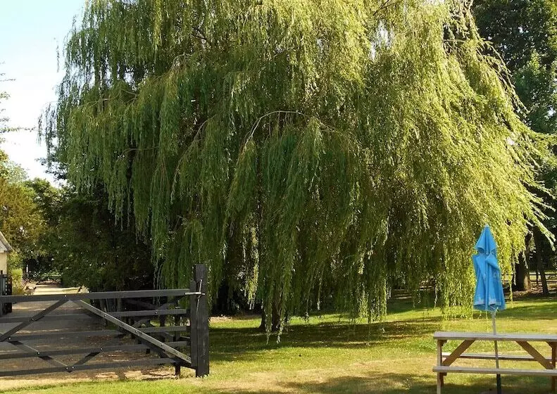 Brundish, Suffolk Large 4 Bed Barn Stunning!