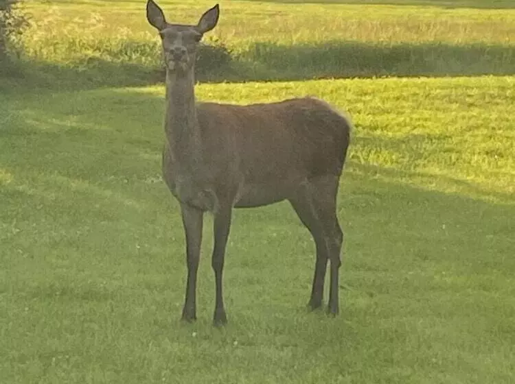 Brundish, Suffolk Large 4 Bed Barn Stunning!