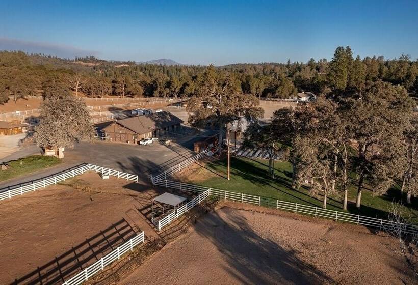 Cabina De Alba   Charming And Modern By Yosemite Region Resorts