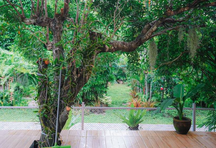 Daddy Dream Hotel And Residence