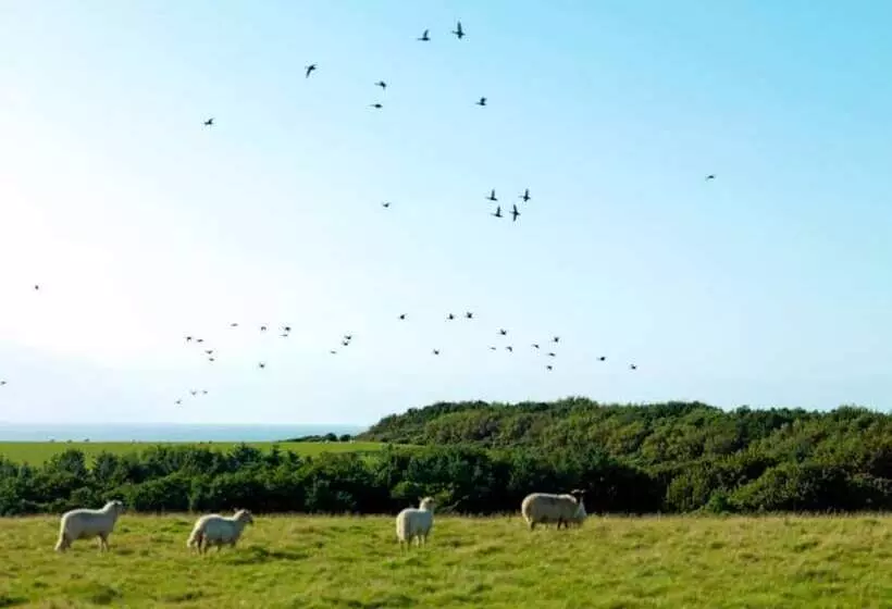 ホテル 11  Bellatrix  Bell Tent Glamping Anglesey