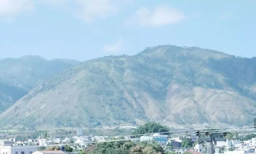 ホテル Insurgentes