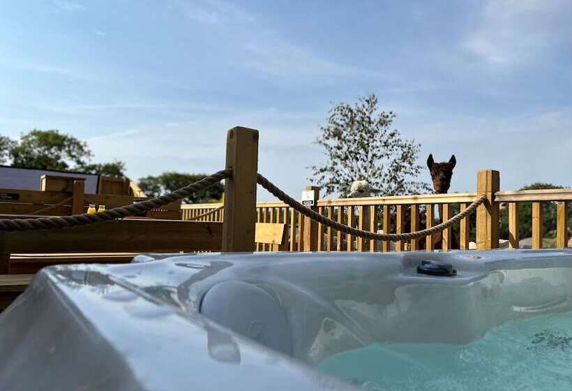 Hotel Lion King Safari Tent