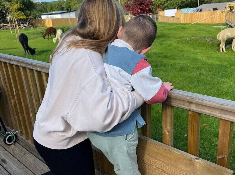 Hotel Lion King Safari Tent