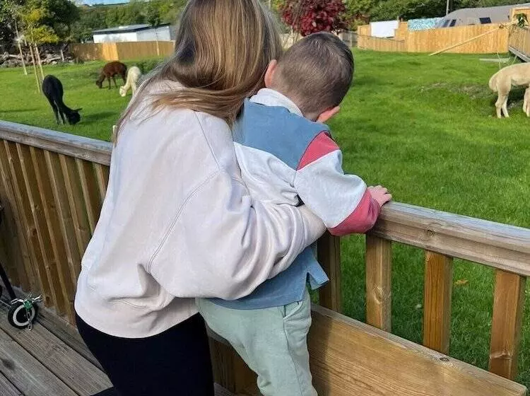 Hotelli Lion King Safari Tent