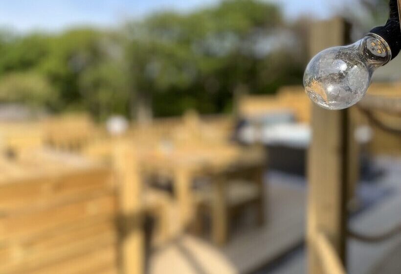 Hotel Lion King Safari Tent