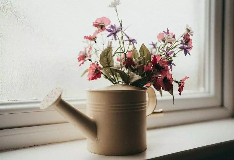 Lovely 3 Bed Cottage In The Quiet Hamlet Of Horeb