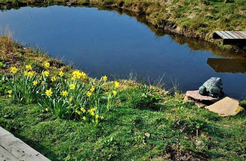 Peak District Cottage Set In 5 Acres Near Buxton