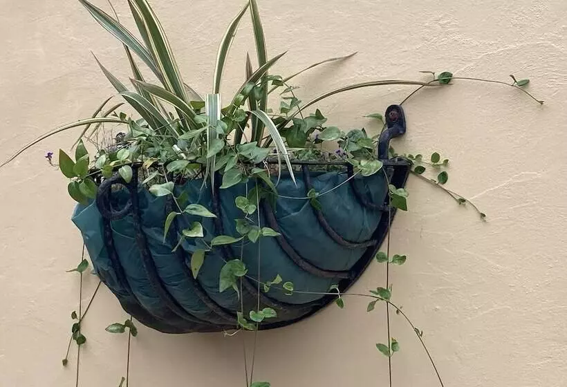 Residenssi 1 Bedroomed Detached Holiday Retreat Pant