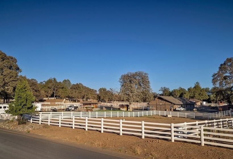 The Big Easy   Lakefront Only 1 Mile To Popular Marina Beach! By Yosemite Region Resorts