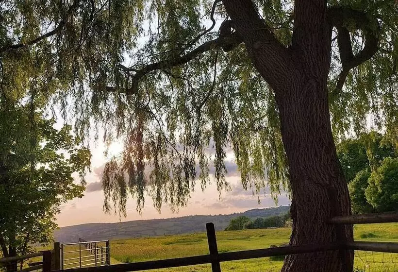 Spacious 1 Bed Lodge In Clifford, Hereford