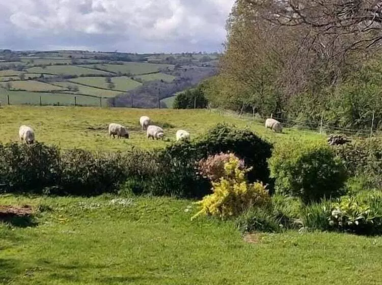 Spacious 1 Bed Lodge In Clifford, Hereford