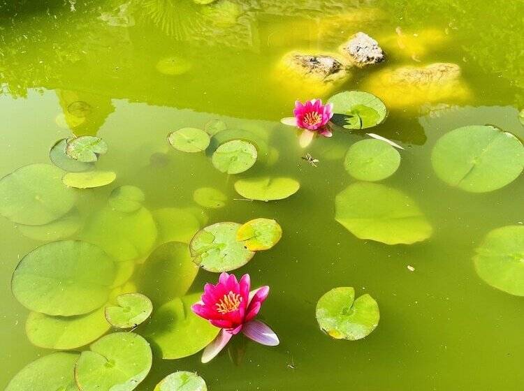 مبيت وإفطار La Placette Albigeoise