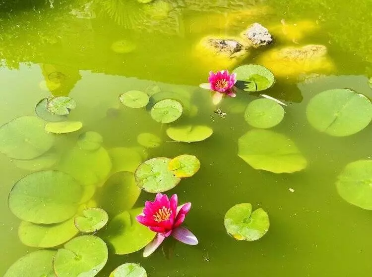 ベッドアンドブレックファースト La Placette Albigeoise