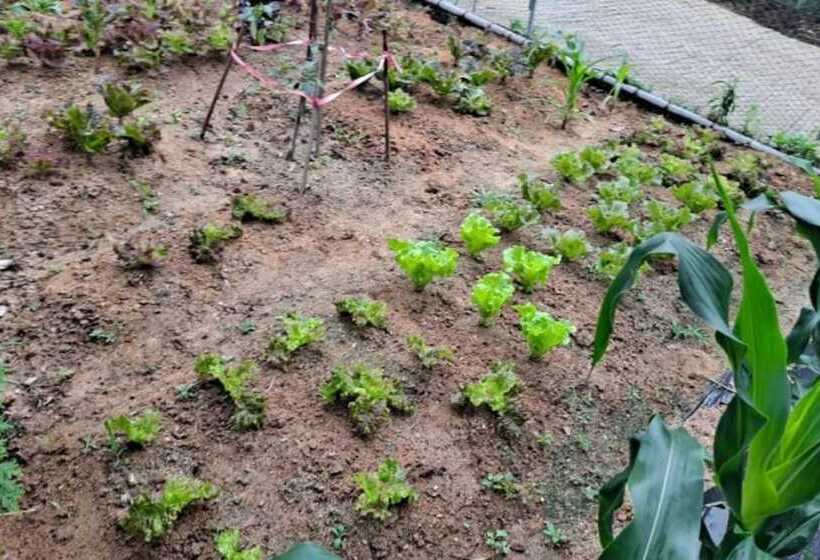 Daebudo Human History Pension