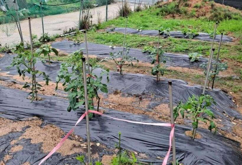 Daebudo Human History Pension