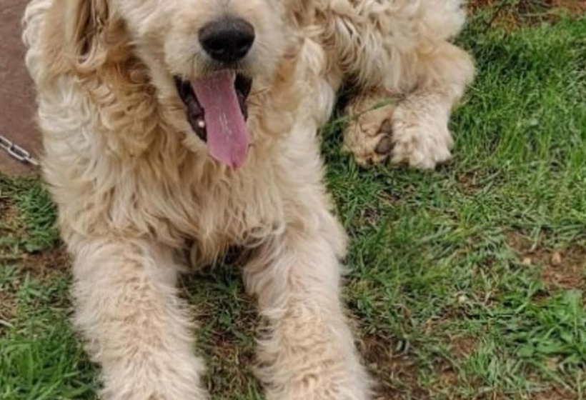 Daebudo Human History Pension