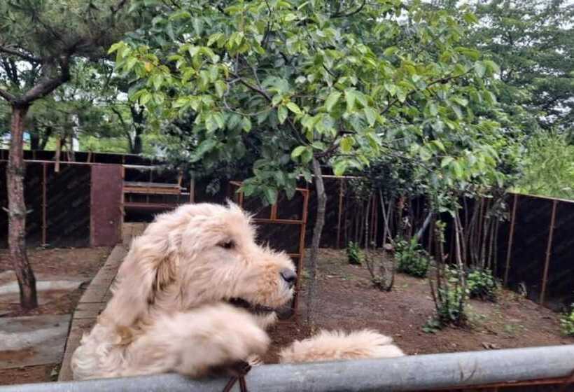 Daebudo Human History Pension