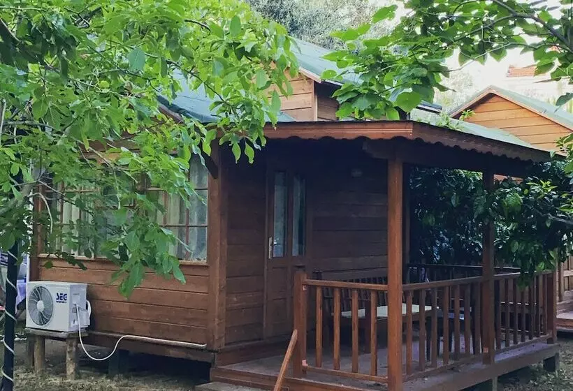 ホテル Endemik Bungalov