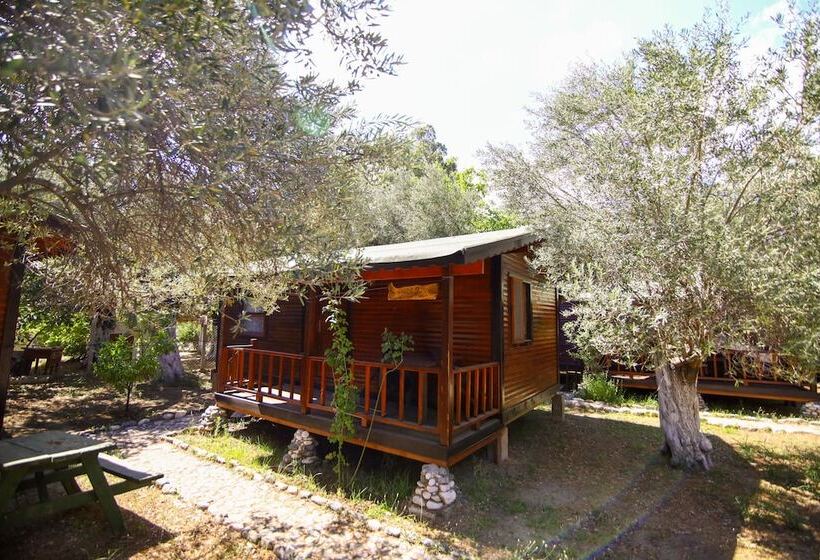 酒店 Endemik Bungalov