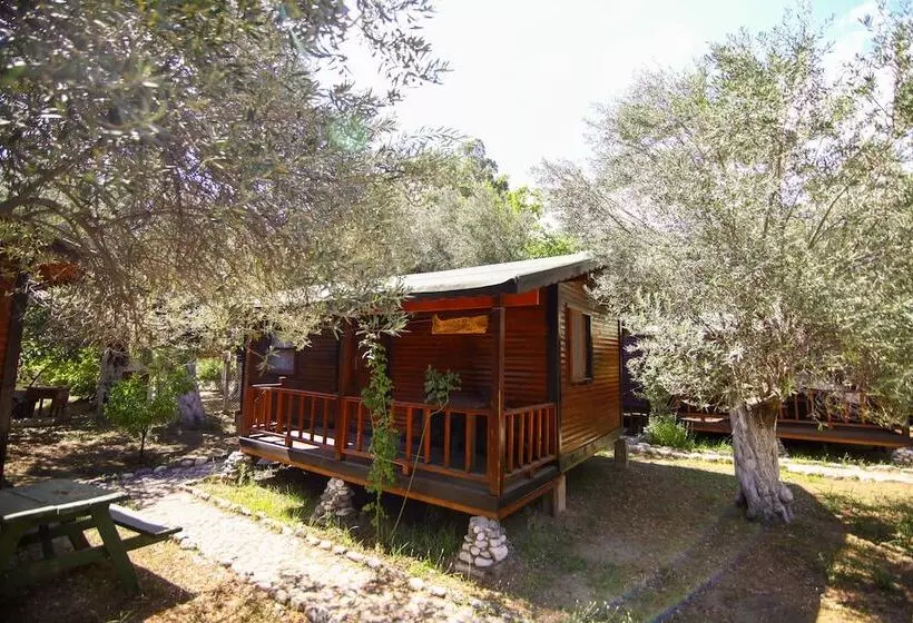 ホテル Endemik Bungalov