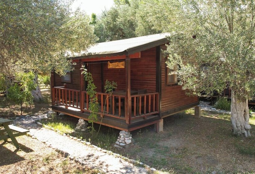 酒店 Endemik Bungalov