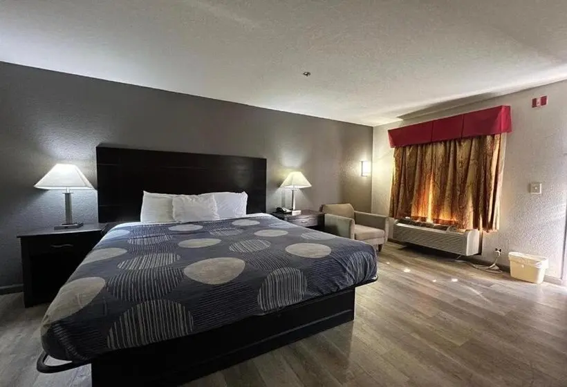 ホテル Speedway Inn & Suites