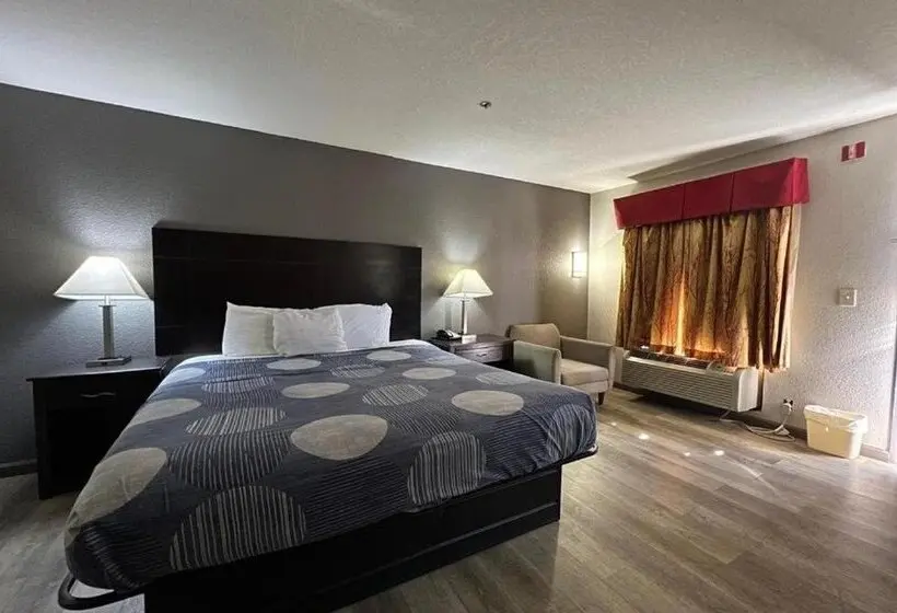 ホテル Speedway Inn & Suites