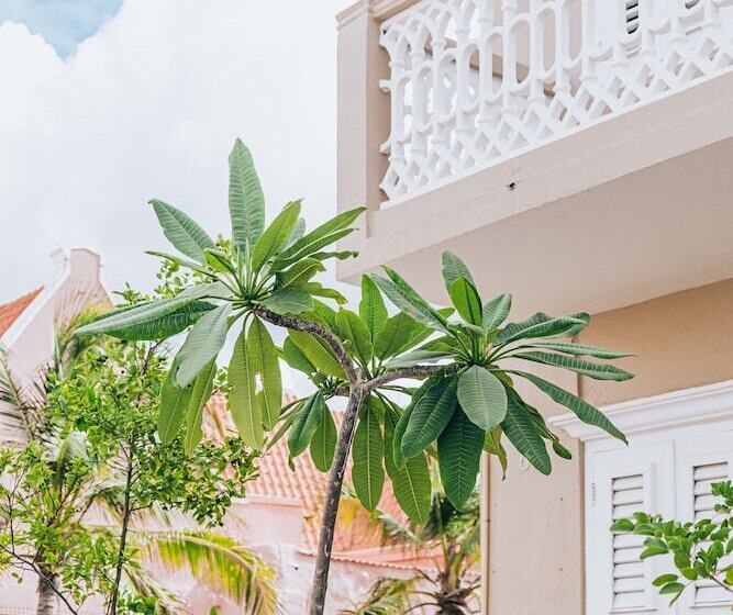 Terra Boutique Hotel Curaçao
