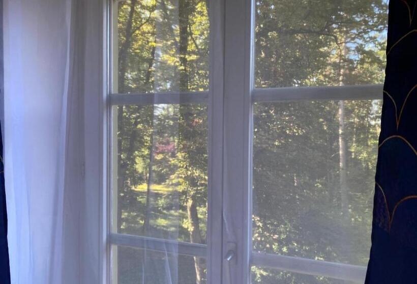 ホテル Villa Quintana