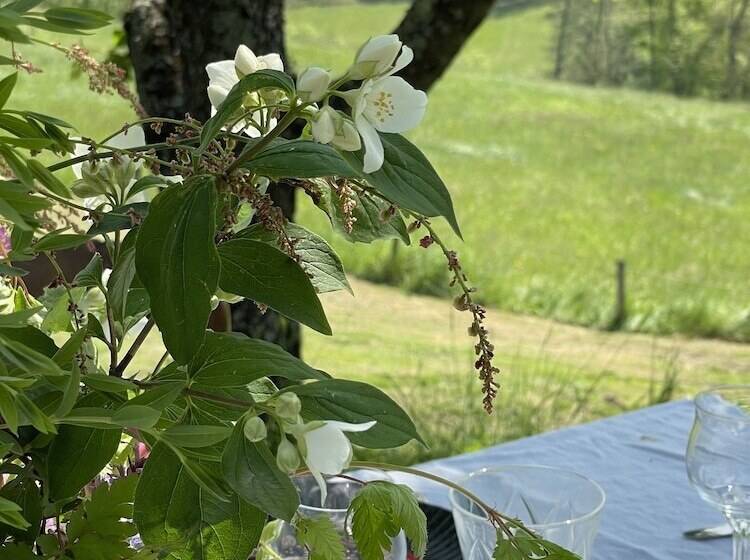 Пансион Maison Bellamant