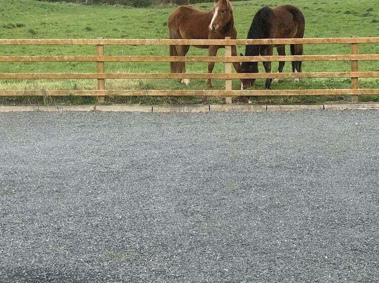 펜션 Portaferry Self Catering Retreat