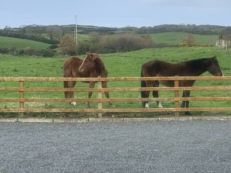 펜션 Portaferry Self Catering Retreat