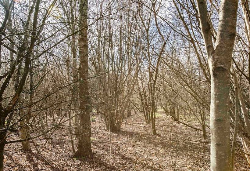 Stunning Character 2bed Cottage In St Albans Wifi