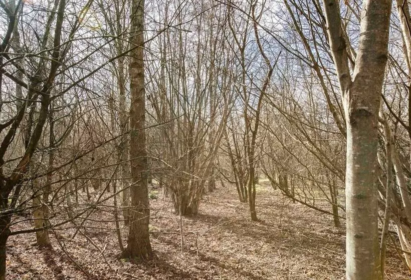 Stunning Character 2bed Cottage In St Albans Wifi