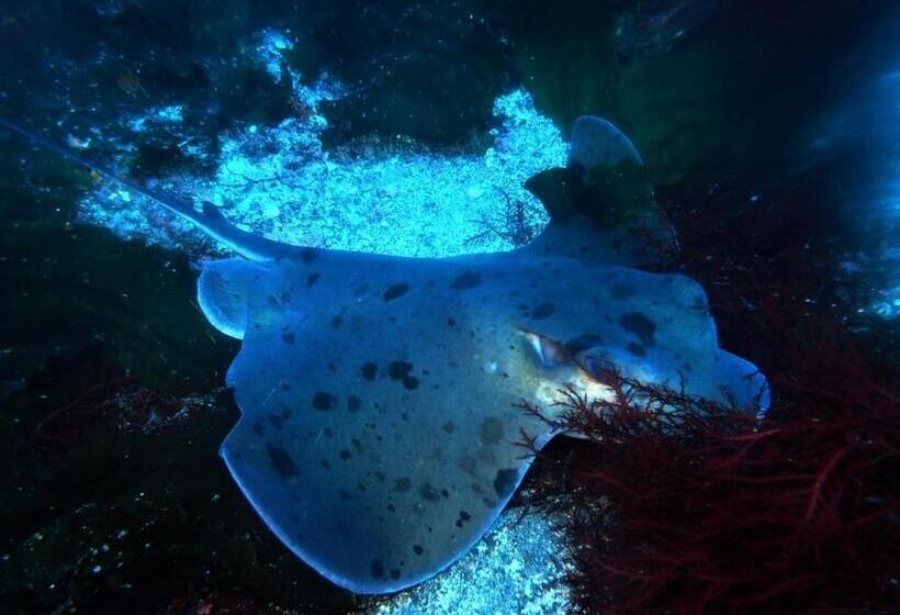 Yuraku Izuoshima Hostel