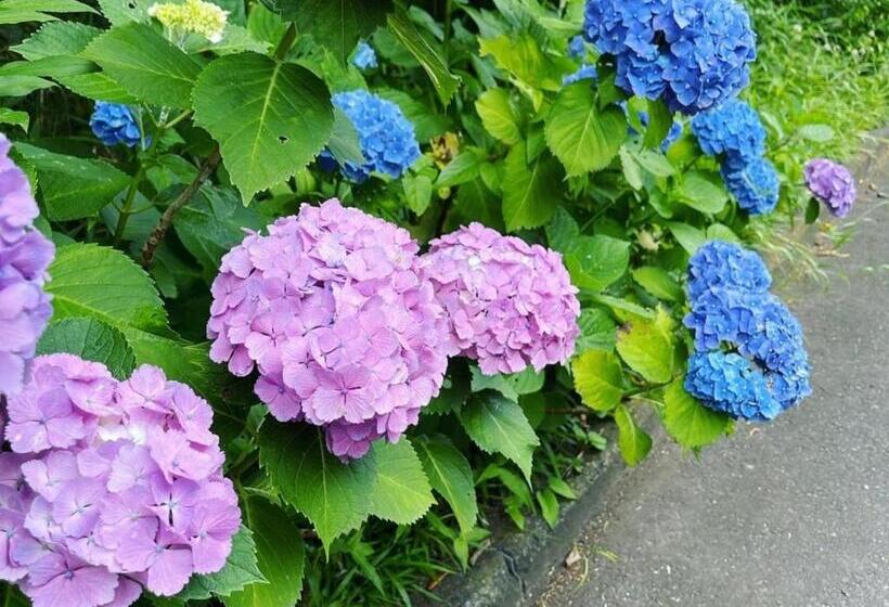 Yuraku Izuoshima Hostel