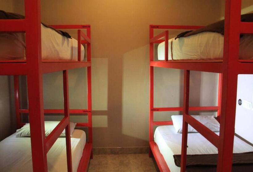 הוסטל Marine Tourist Guest House At Negombo Beach