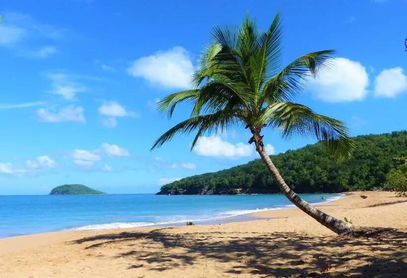 تختخواب و صبحانه Gites Rose Des Vents