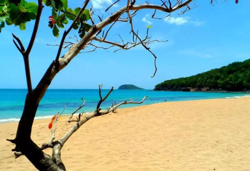 تختخواب و صبحانه Gites Rose Des Vents